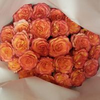 Оранжевые розы, Эквадор, высота 60см