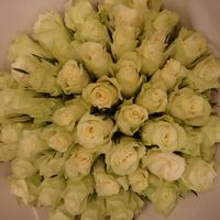 Белые розы высотой 40см, из Кении