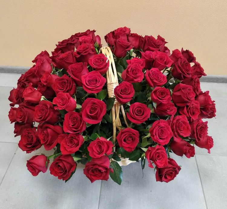 51 красная роза в корзине ,Эквадор, 60см