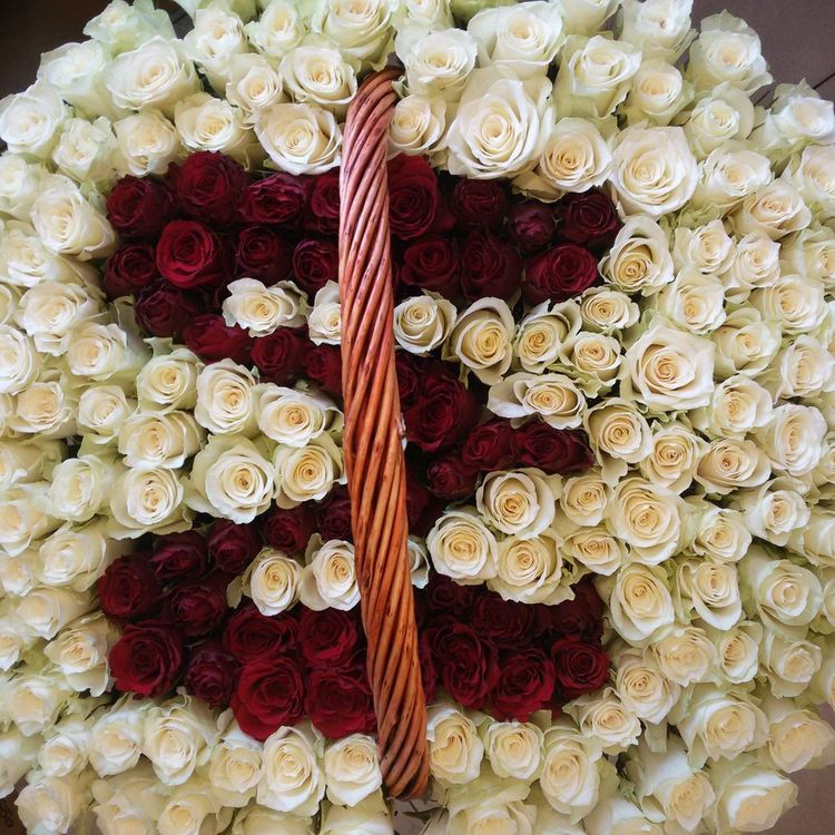 Композиция “Монограмма” , 301 роза в корзине, Эквадор 60см