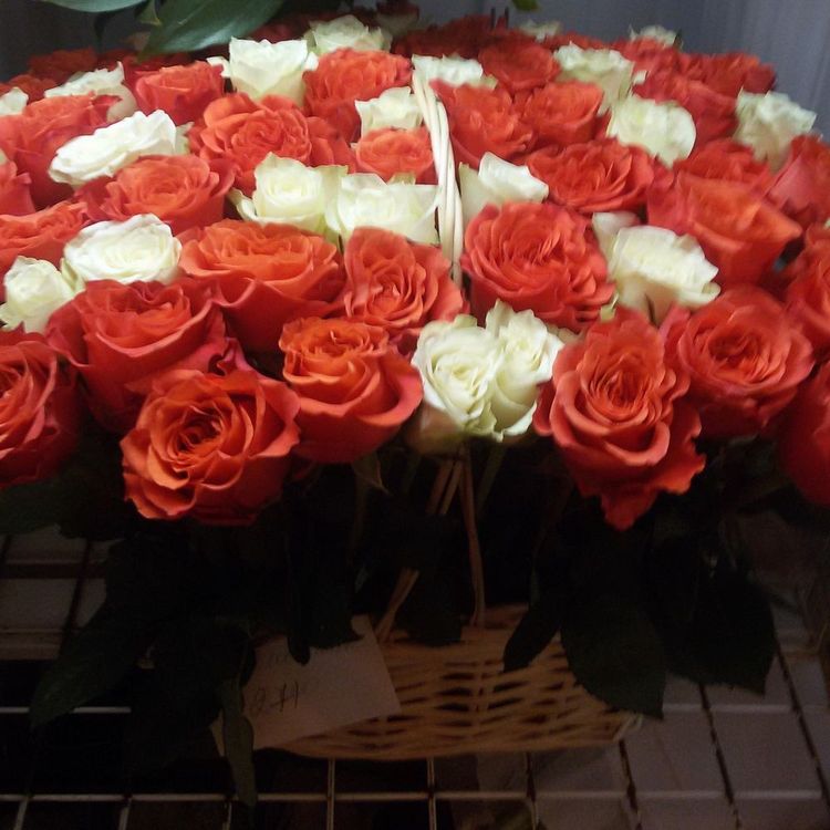 51 роза в корзине, микс Нежная страсть, Эквадор, 60см.