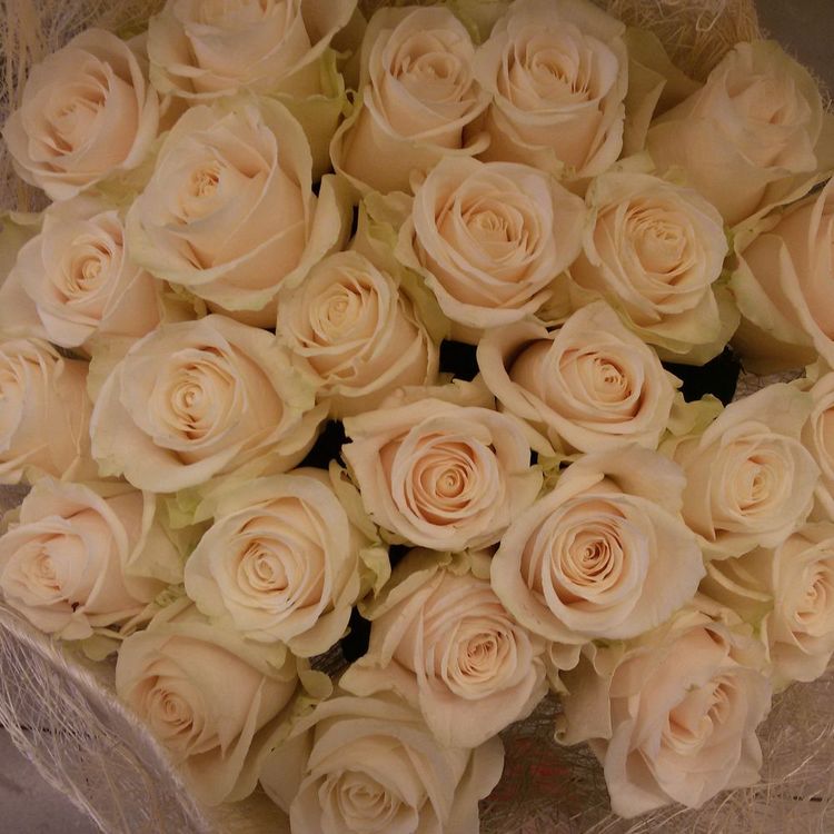 Букет из 25 белых роз, высота 40см, Кения.