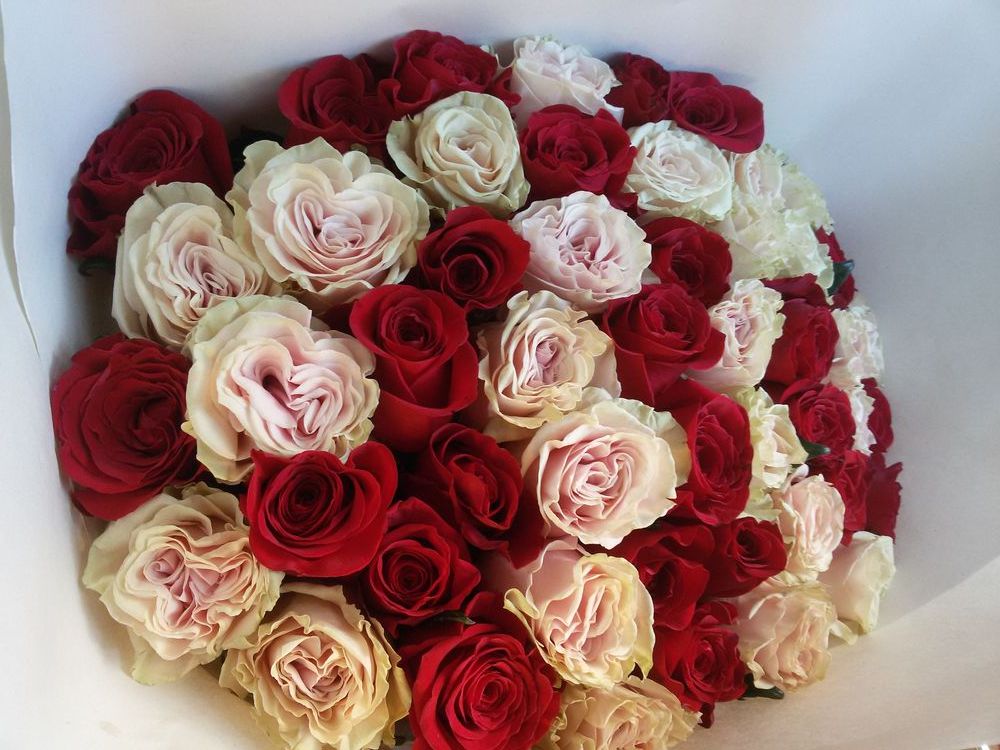 Букет роз недорого москва. Недорогие розы. Розы на продажу. Самые дешевые розы. Розы в Москве.