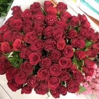 красные розы эквадор