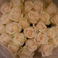 Купить изумительные розы в Санкт-Петербурге цветочная база.