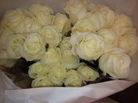Купить изумительные розы в Питере на базе.