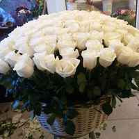 Купить изумительные розы СПб на складе.