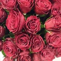 Купить замечательный букет из роз в Питере цветочная база.