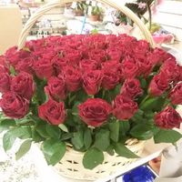 Купить красивый букет из роз в Питере выгодно.