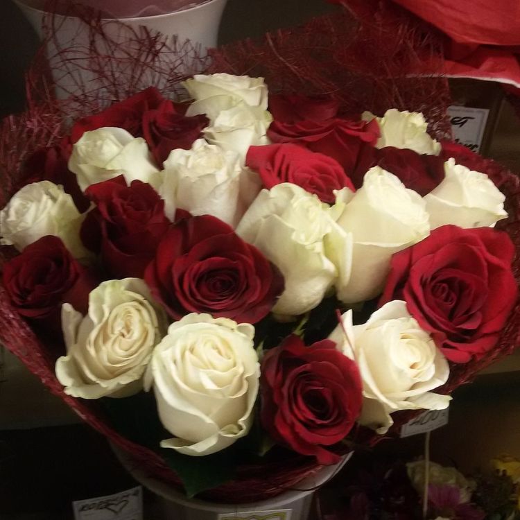 Букет из 21 розы, “Красное и белое”, Эквадор 60см