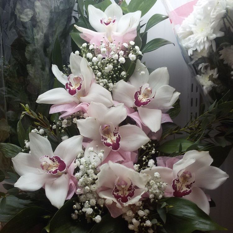 Букет “Первая любовь”, прекрасный букет из орхидей